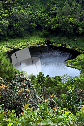 Image of  lake mountain plant  