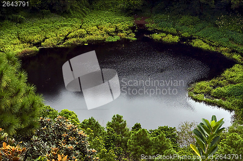 Image of  lake    tree and hill