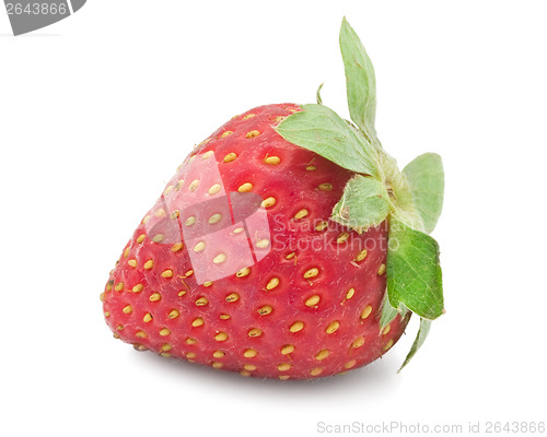 Image of Strawberry