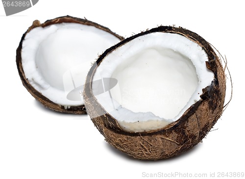 Image of Coconut