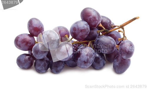 Image of Grapes