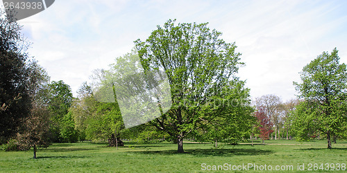 Image of Hyde Park, London