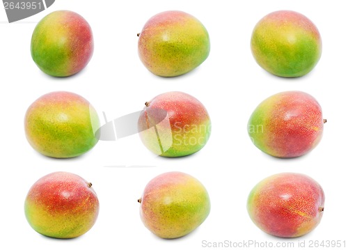 Image of Mango