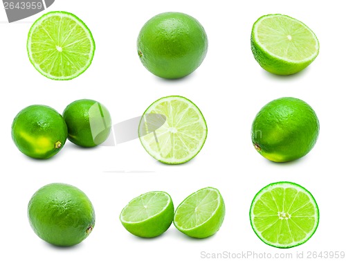 Image of Lime