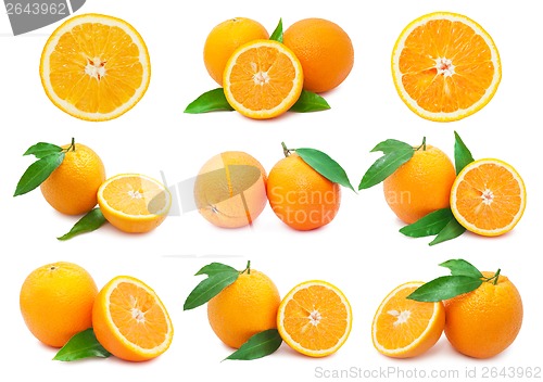 Image of Oranges