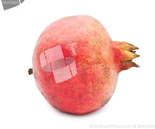 Image of Pomegranate