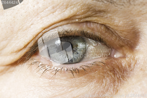 Image of Close up old women eye