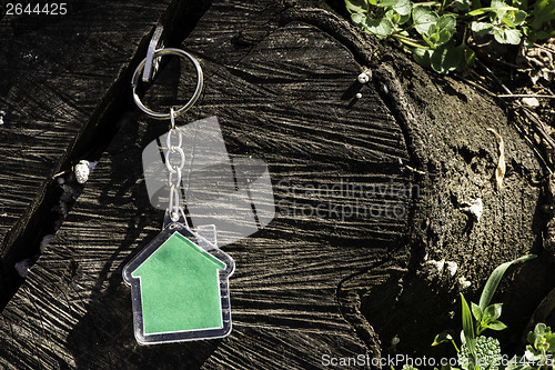 Image of Keychain in a shape of house