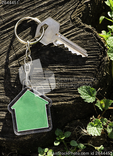 Image of Keychain in a shape of house