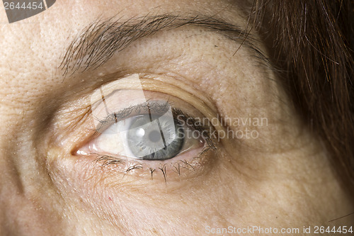 Image of Close up old women eye