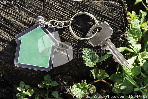 Image of Keychain in a shape of house