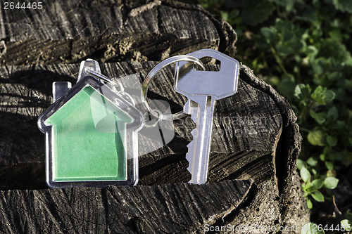 Image of Keychain in a shape of house