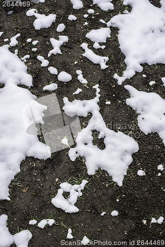 Image of Melting snow is showing land