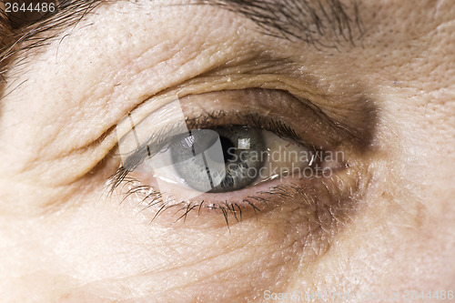 Image of Close up old women eye