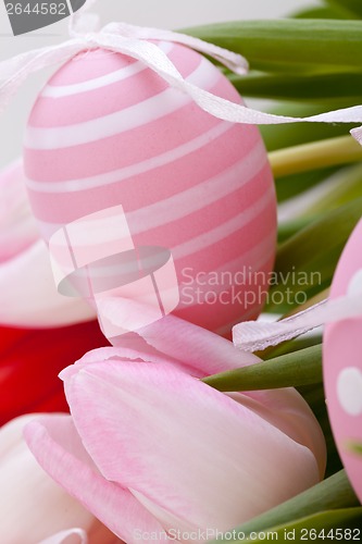 Image of beautiful easter egg decoration colorfull eggs seasonal pastel 