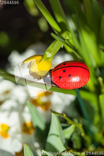 Image of Background of colourful vivid summer flowers