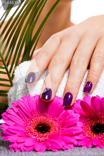 Image of Woman with beautiful manicured purple nails