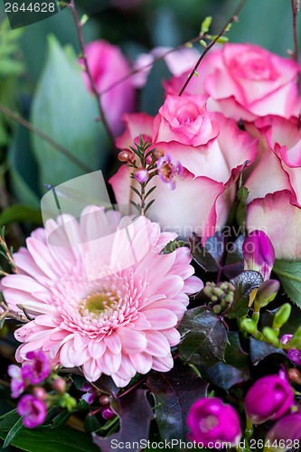 Image of Background of colourful vivid summer flowers