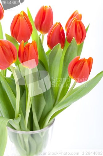 Image of Beautiful fresh red tulips for a loved one