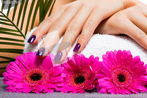 Image of Woman with beautiful manicured purple nails