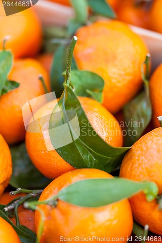 Image of Background of fresh tangerines or clementines