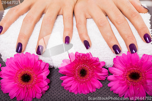 Image of Woman with beautiful manicured purple nails