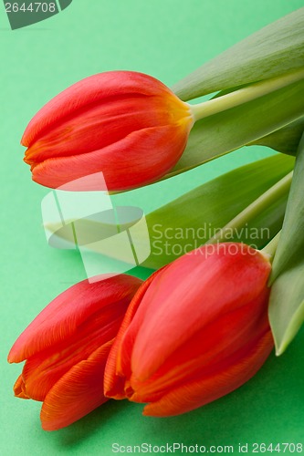 Image of Beautiful fresh red tulips for a loved one