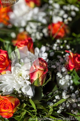 Image of Background of colourful vivid summer flowers