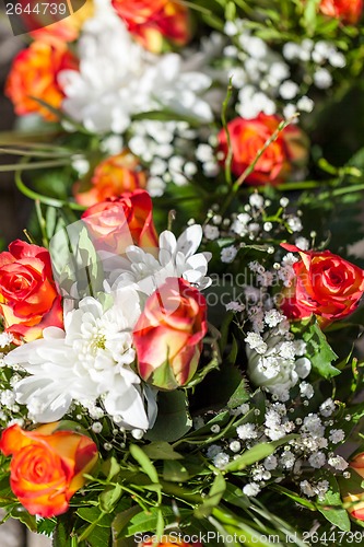 Image of Background of colourful vivid summer flowers