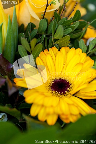 Image of Background of colourful vivid summer flowers