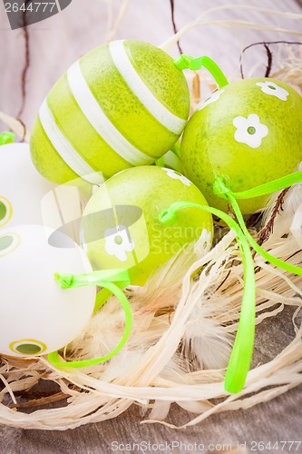 Image of Colourful green Easter eggs in straw