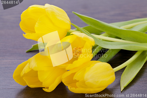 Image of Bunch of cheerful yellow tulips