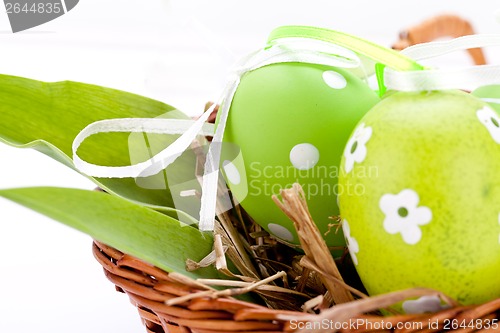 Image of beautiful easter egg decoration colorfull eggs seasonal pastel 