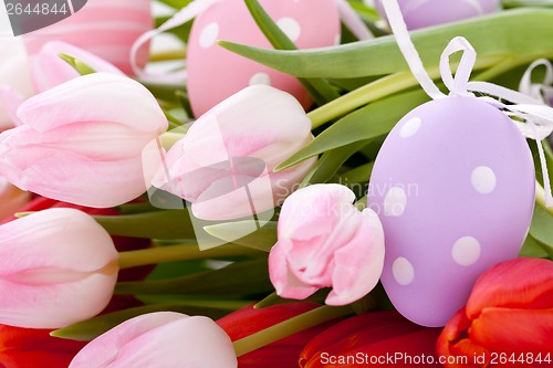 Image of beautiful easter egg decoration colorfull eggs seasonal pastel 