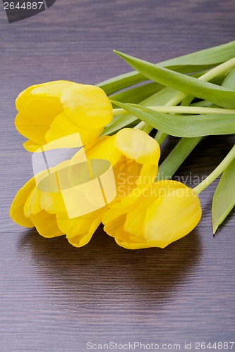 Image of Bunch of cheerful yellow tulips