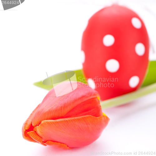 Image of Colourful red Easter still life