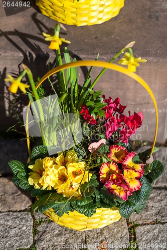 Image of Background of colourful vivid summer flowers