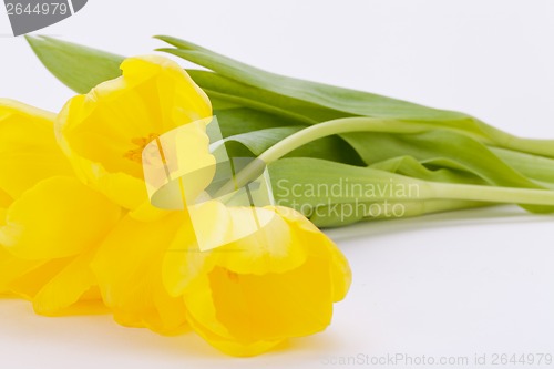 Image of Bunch of cheerful yellow tulips