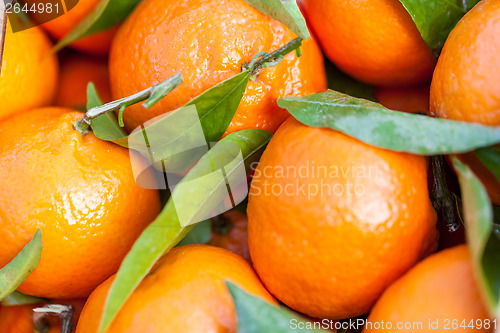 Image of Background of fresh tangerines or clementines