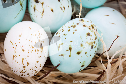 Image of Three natural blue Easter eggs in a basket