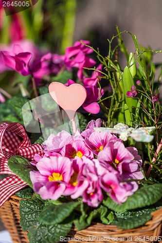 Image of Background of colourful vivid summer flowers