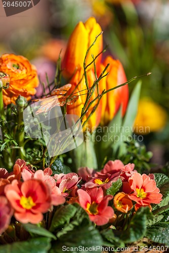 Image of Background of colourful vivid summer flowers