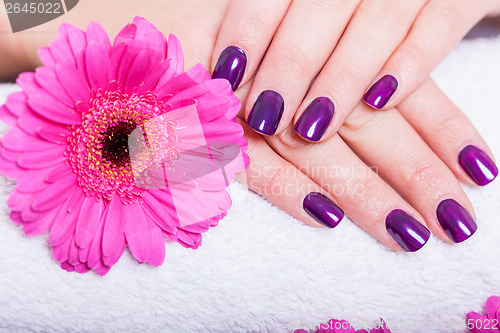 Image of Woman with beautiful manicured purple nails