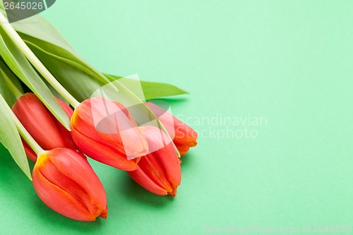 Image of Beautiful fresh red tulips for a loved one