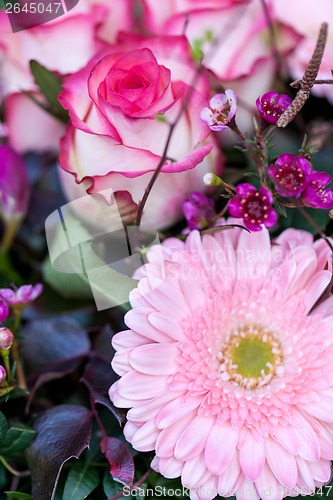 Image of Background of colourful vivid summer flowers