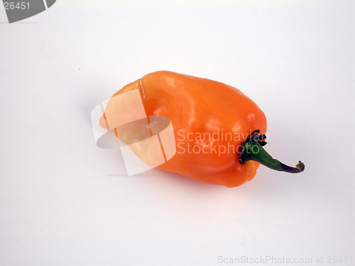 Image of Habanero chili