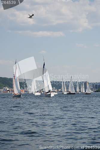 Image of Sailboats