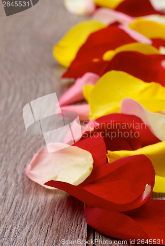 Image of Rose Petals