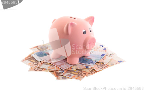 Image of Piggy bank surrounded by Euro notes