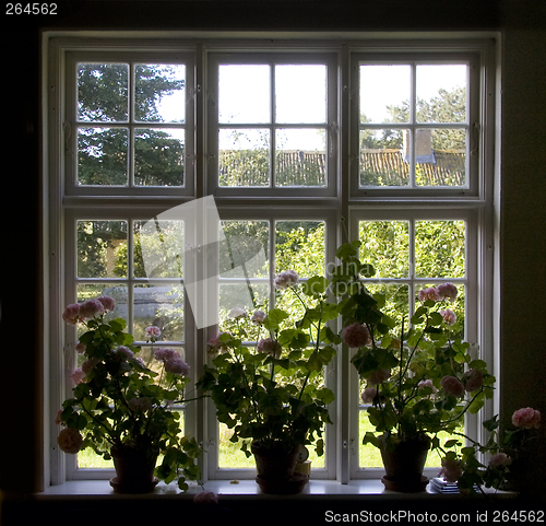 Image of flower window